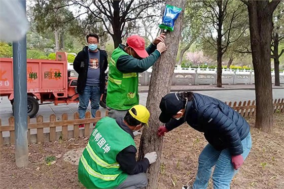 2022年4月河北邯鄲公園養(yǎng)護(hù)項(xiàng)目
