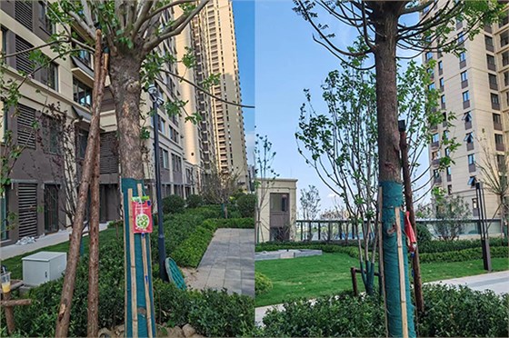 小區(qū)復壯2