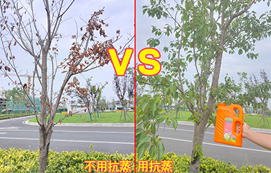 抗蒸對(duì)比3