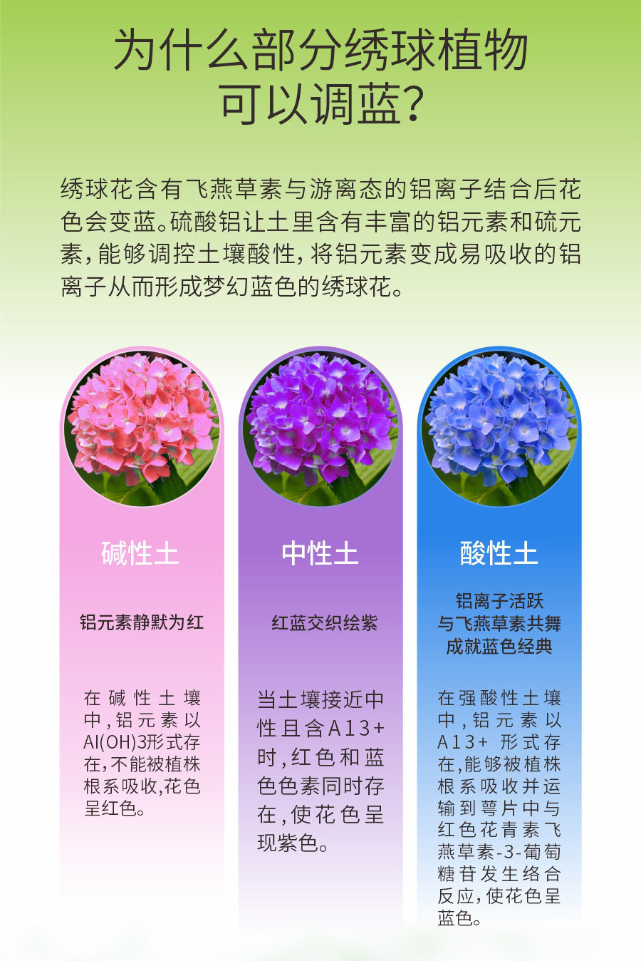 詳情 (3)