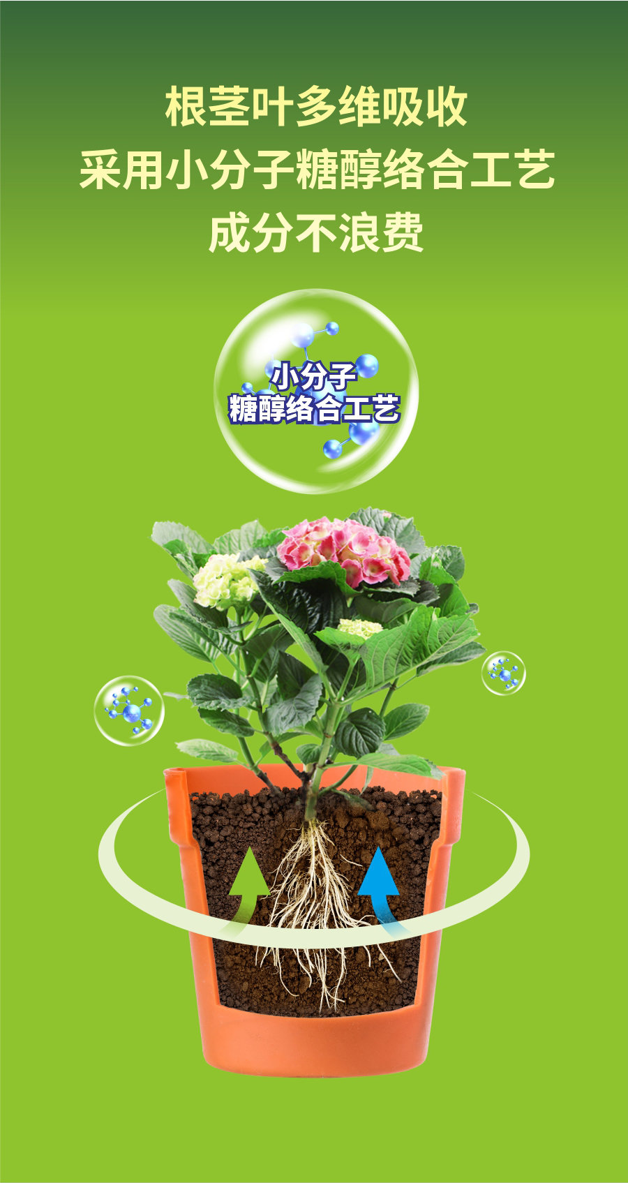 濃縮 (10)