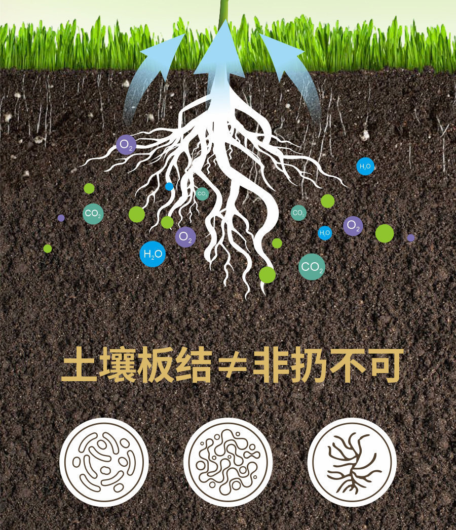 詳情 (6)