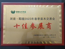 十佳參展商